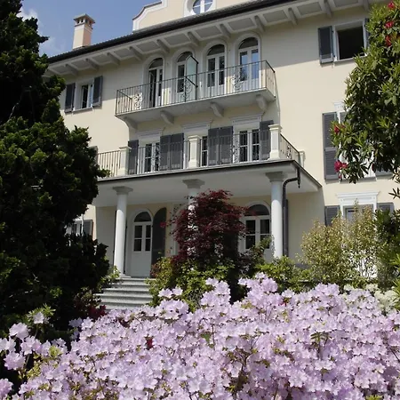 Le Camelie * Domodossola